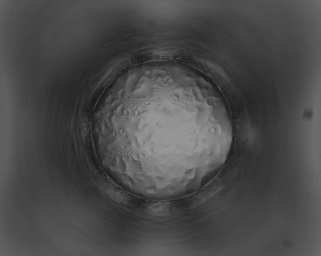X0000091530761200708311310