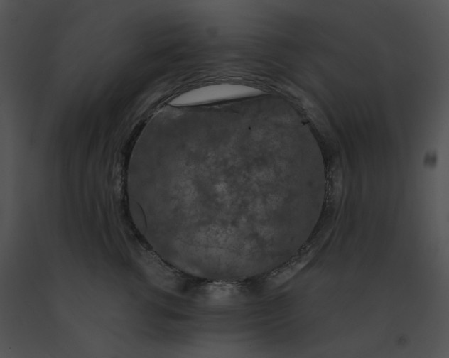 X0000091530762200708311310