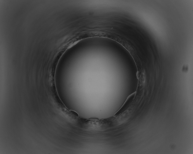 X0000091530764200708311310