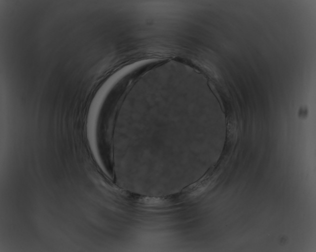 X0000091530766200708311311