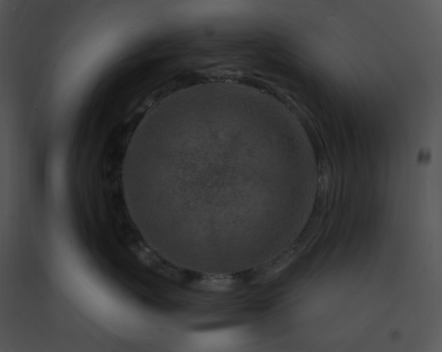 X0000091530767200708311311
