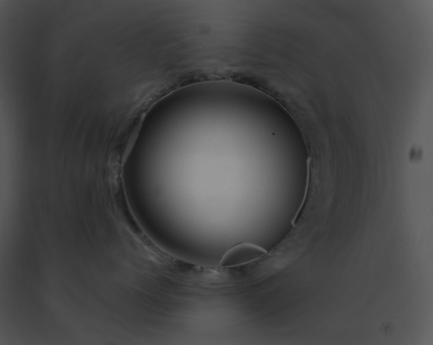 X0000091530768200708311311