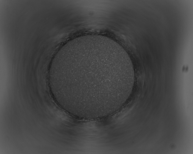 X0000091530769200708311310