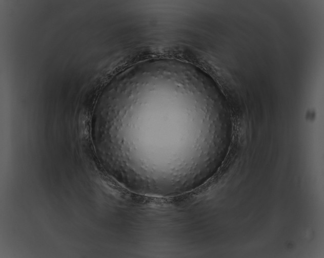 X0000091530770200708311310