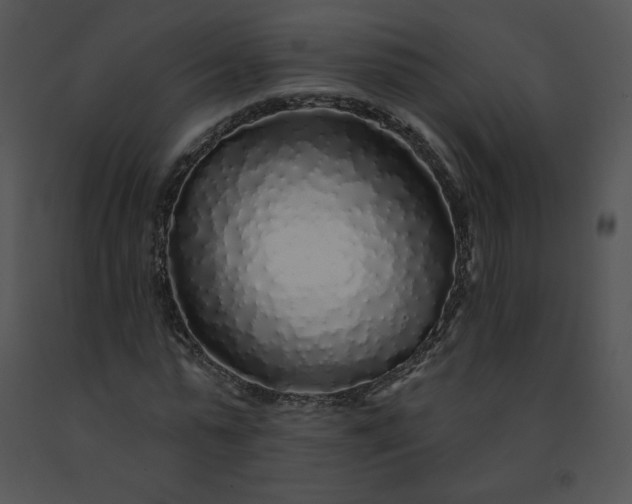 X0000091530775200708311310