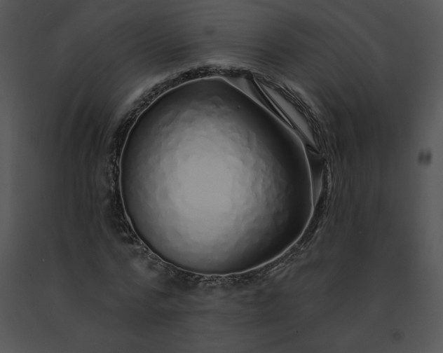 X0000091530776200708311310