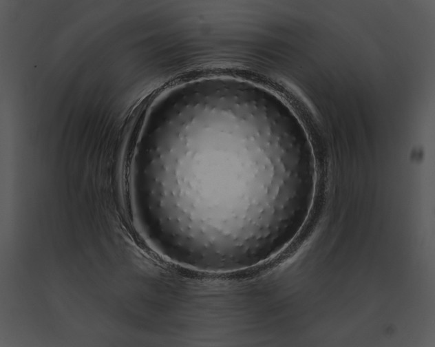 X0000091530777200708311310