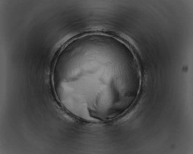 X0000091530778200708311310
