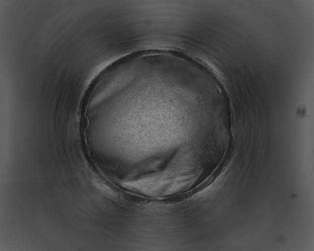 X0000091530779200708311310