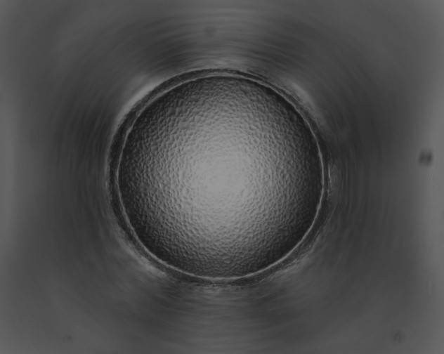 X0000091530780200708311310