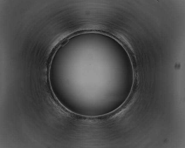 X0000091530781200708311310