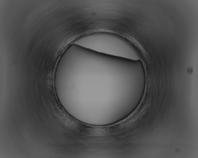 X0000091530785200708311310