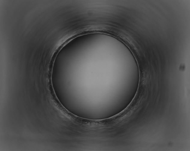 X0000091530786200708311310