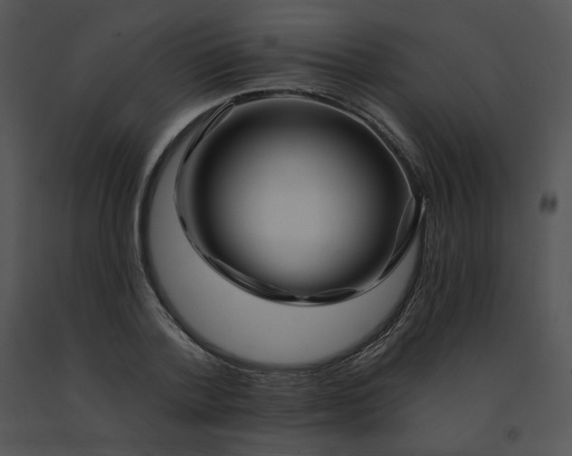 X0000091530788200708311310
