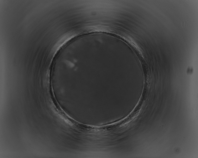 X0000091530790200708311310