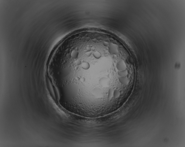 X0000091530791200708311310