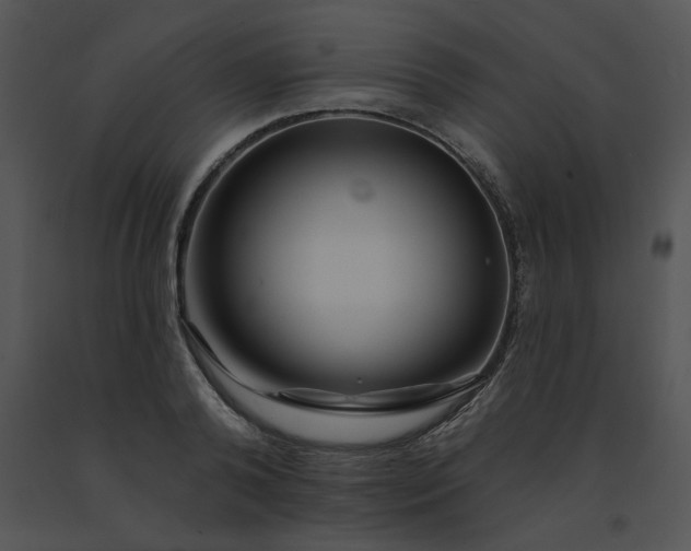 X0000091530792200708311310