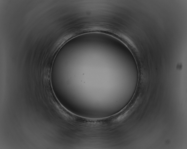 X0000091530793200708311310