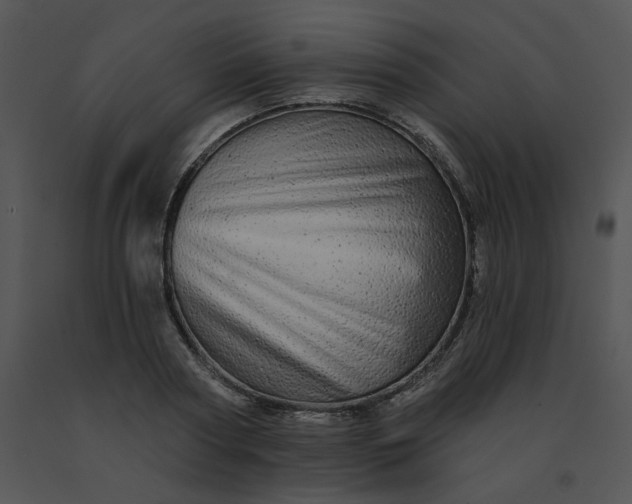 X0000091530794200708311310
