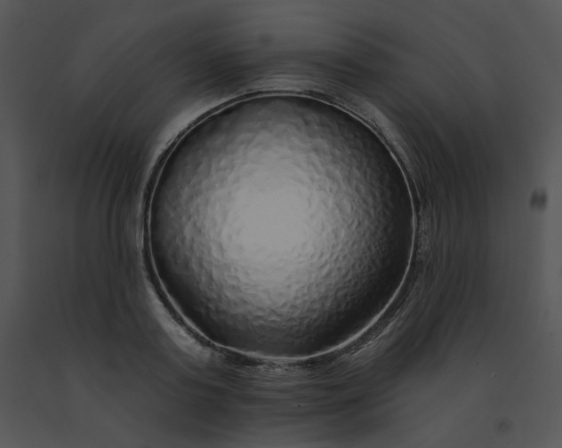 X0000091530795200708311310