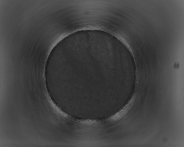 X0000091530797200708311310