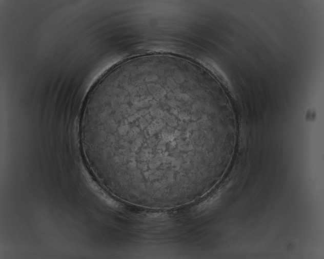 X0000091530798200708311310
