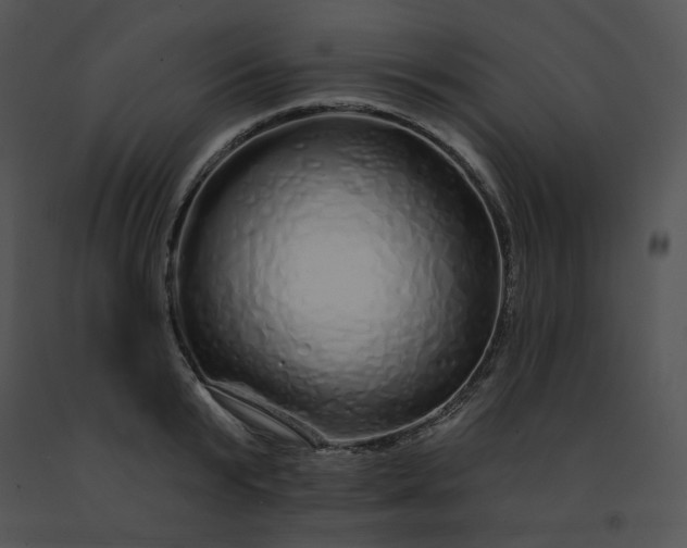 X0000091530799200708311310