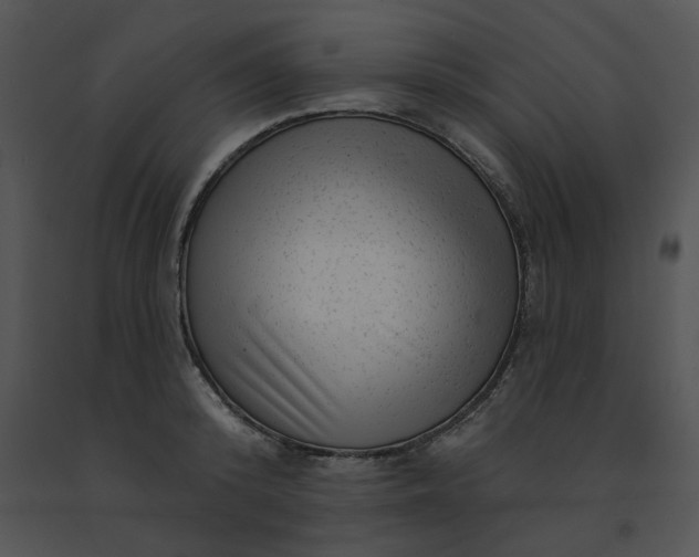 X0000091530800200708311310