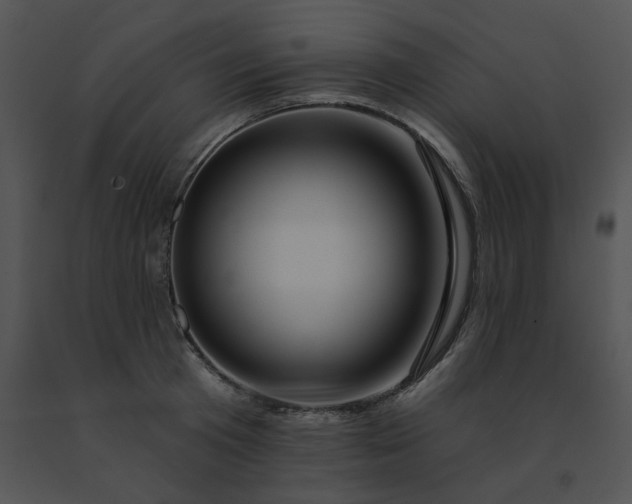 X0000091530801200708311310