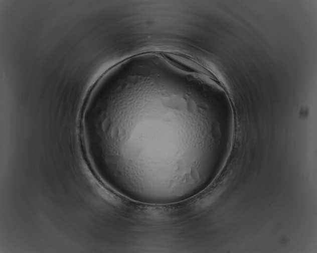 X0000091530803200708311310
