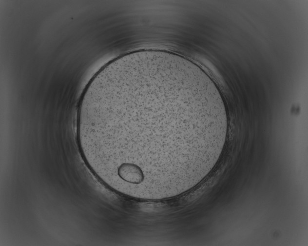 X0000091530804200708311309