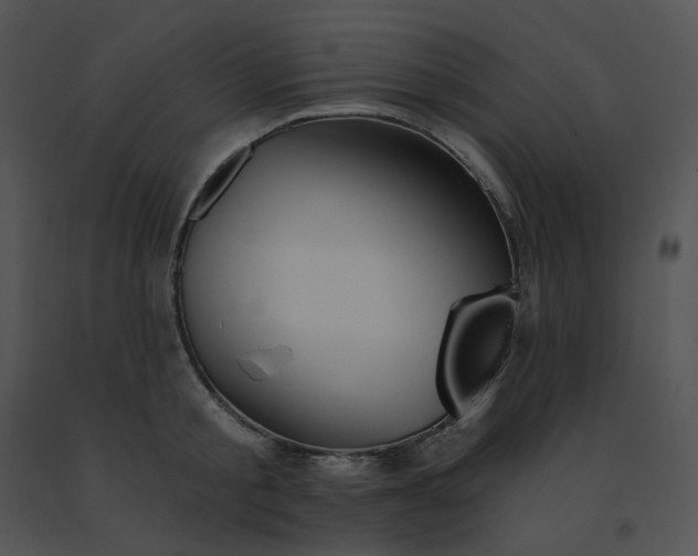 X0000091530805200708311309