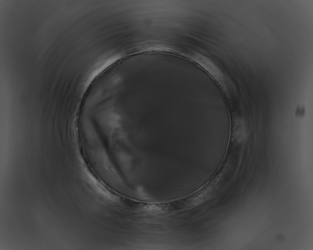 X0000091530806200708311309