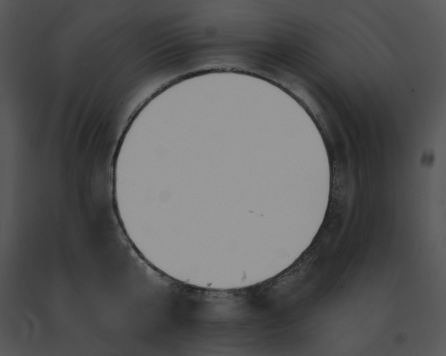 X0000091530807200708311309