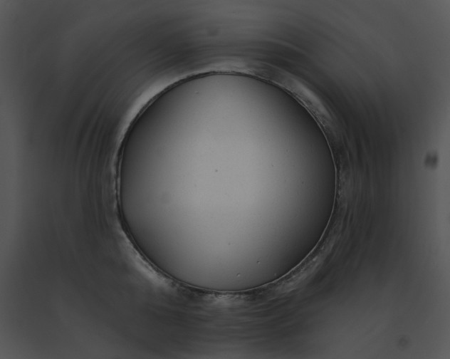 X0000091530808200708311309