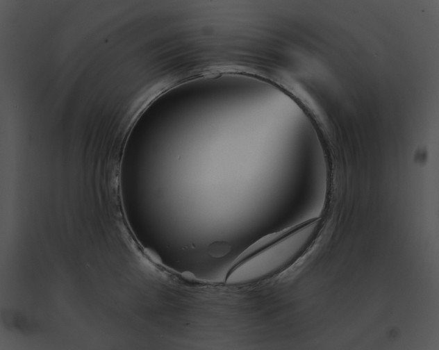 X0000091530809200708311309