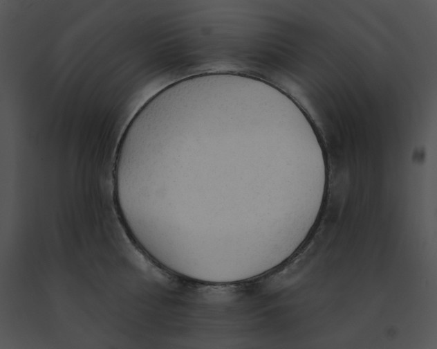 X0000091530810200708311309