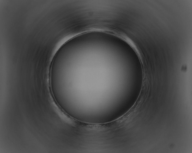 X0000091530811200708311309