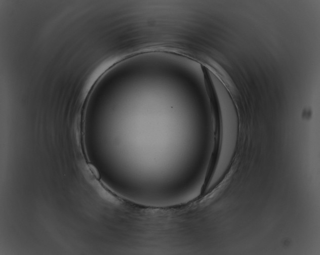 X0000091530812200708311309
