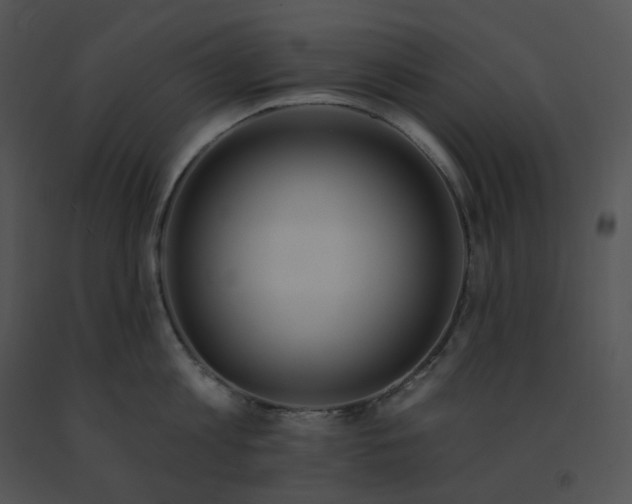 X0000091530813200708311309