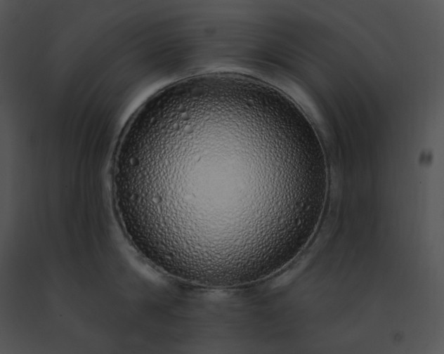 X0000091530814200708311309