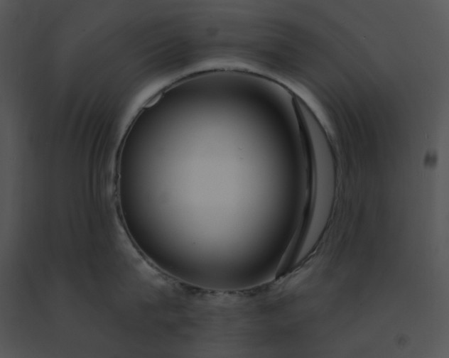 X0000091530815200708311309