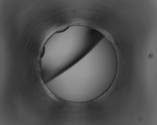 X0000091530816200708311309