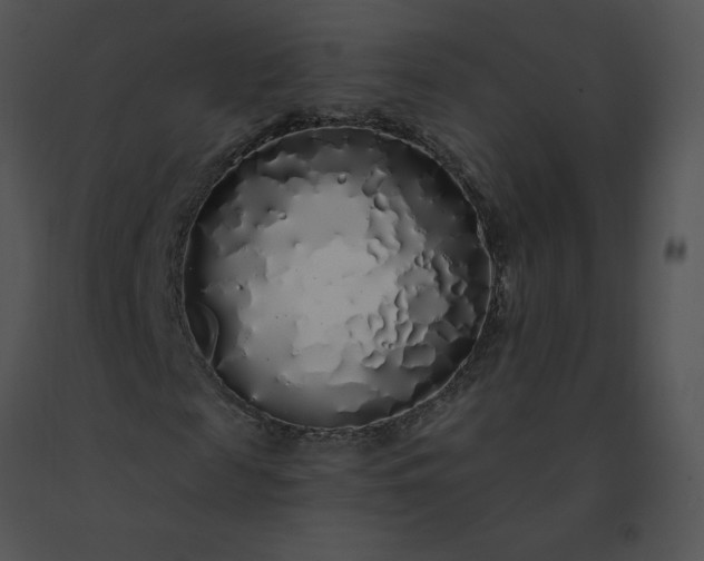 X0000091530817200708311309