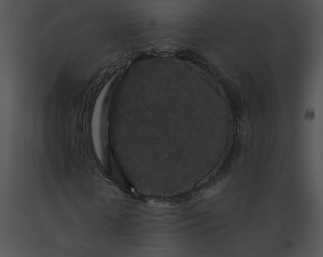 X0000091530818200708311309