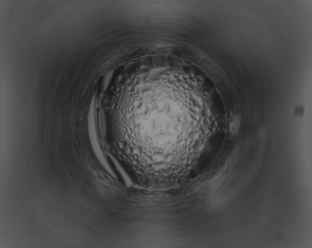 X0000091530819200708311309