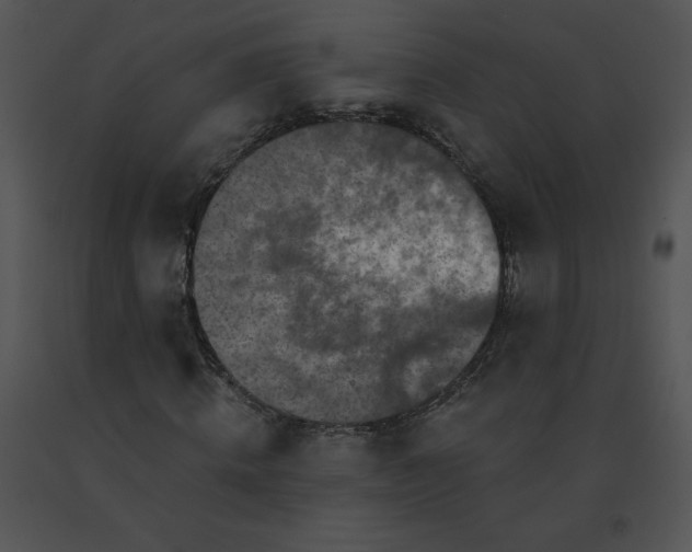 X0000091530820200708311309