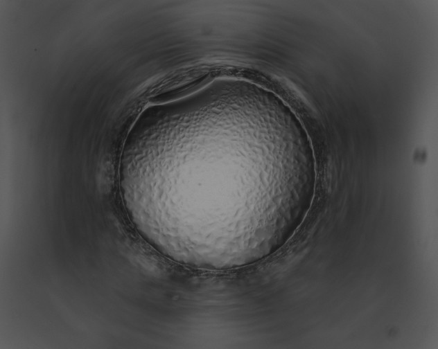 X0000091530821200708311309