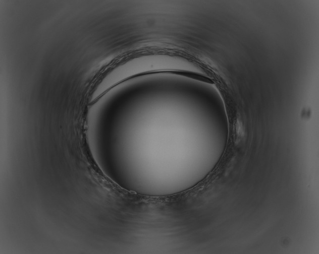 X0000091530822200708311309