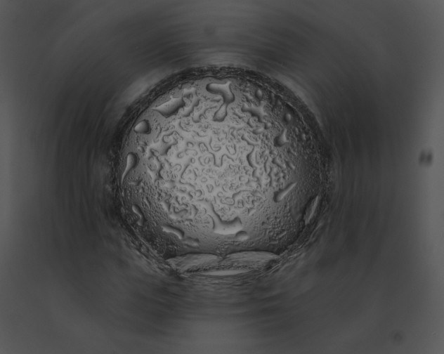 X0000091530823200708311309